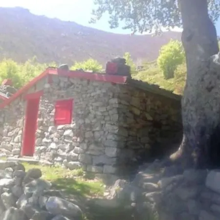 Cosy Au Coeur De Avec Vue Sur Montagne Appartamento Bocognano