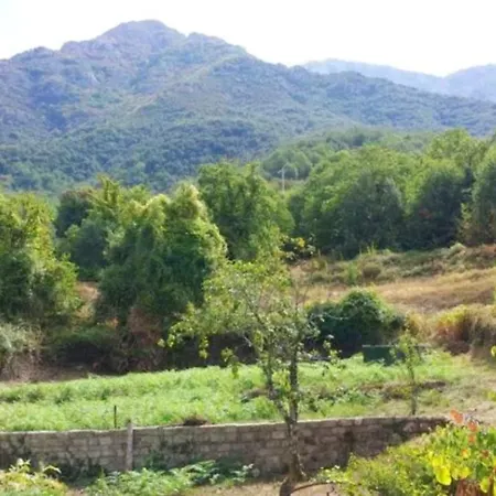 Appartamento Cosy Au Coeur De Avec Vue Sur Montagne Bocognano