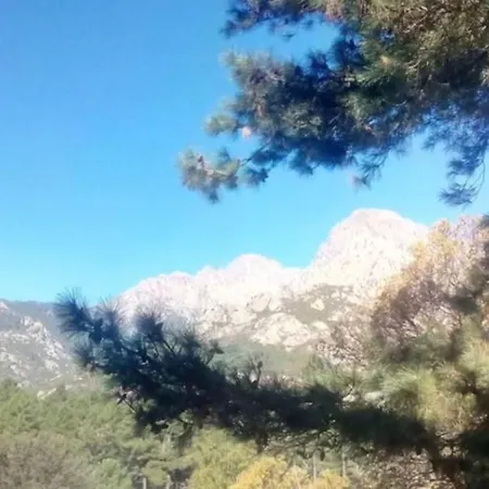 Apartment Cosy Au Coeur De Avec Vue Sur Montagne Bocognano